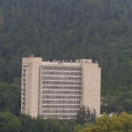 Mtis Kheoba Lejlighed Borjomi Eksteriør billede